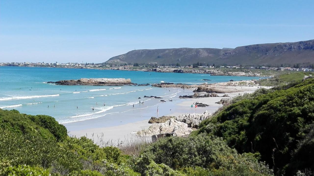 Valentines Hermanus Kültér fotó
